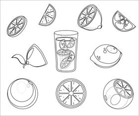 Citrus fruits black and white vector