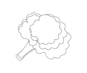 Broccoli free black and white clipart