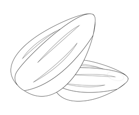 Almond nuts black and white clipart