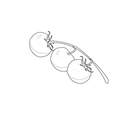 Cherry free black and white clipart