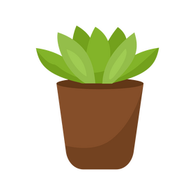 Epiphyllum oxypetalum cactus clipart