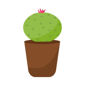 Old Lady cactus clipart