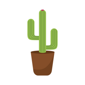 Saguaro cactus clipart