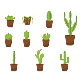 Cactus set vector