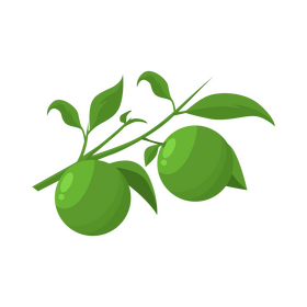 Green orange clipart