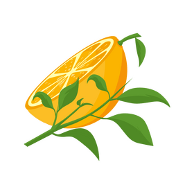 Orange slice with leaf clipart