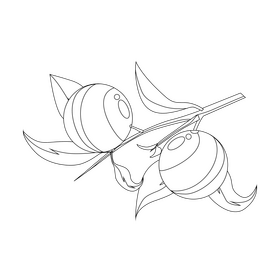 Orange branch black and white clipart