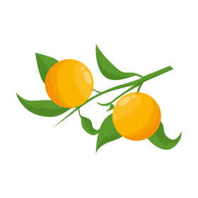 Orange branch clipart