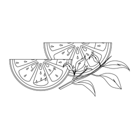 Two slice of orange black and white clipart