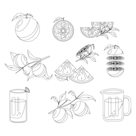 Orange set black and white vector