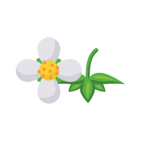 Strawberry flower clipart