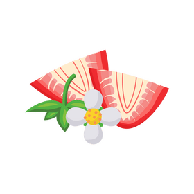 Strawberry flower clipart