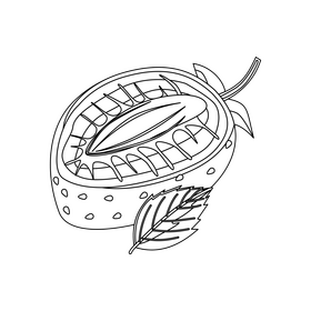 Strawberry cut black and white clipart