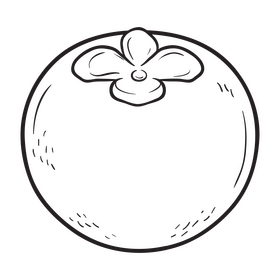 Persimmon black and white clipart