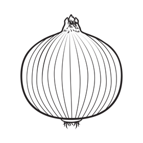 Onion black and white clipart
