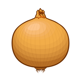 Onion clipart