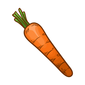 Carrot clipart