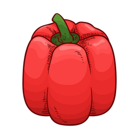Red bell pepper clipart