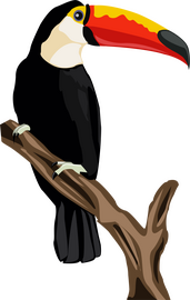 Cute toucan clipart