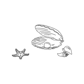 Beach Shell black and white clipart