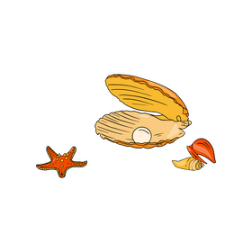 Beach Shell clipart