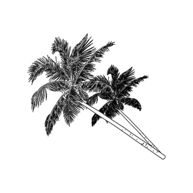 Palm Trees black and white clipart