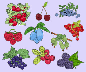 Labels with fruit and berries vector free download