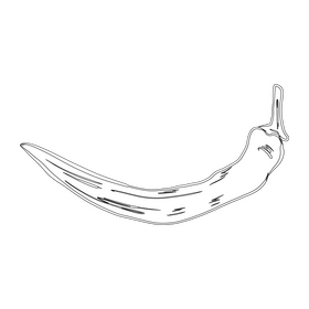 Hot Chili Pepper black and white clipart
