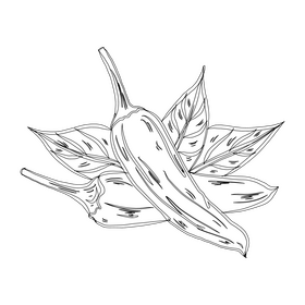 Hot Chili Peppers black and white clipart