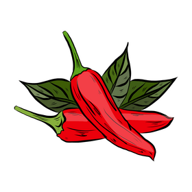 Red Hot Chili Peppers clipart
