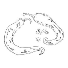 Hot Pepper with Seeds black and white clipart