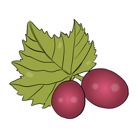 Two Grapes clipart