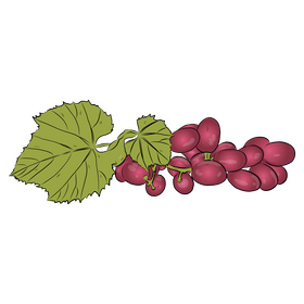 Bunch of Grapes clipart