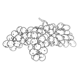 Two Bunches of Grapes black and white clipart free download