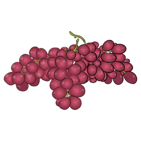 Bunches of Grapes clipart