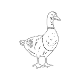 Duck black and white clipart