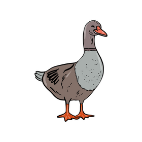 Duck clipart
