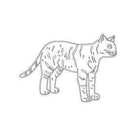 Cat black and white clipart