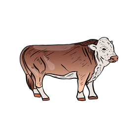 Cow clipart