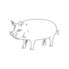 Pig black and white clipart