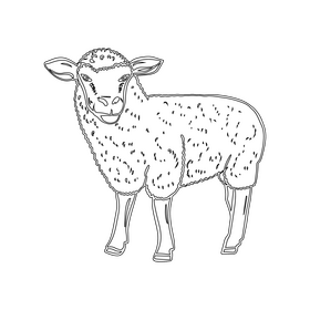Sheep black and white clipart