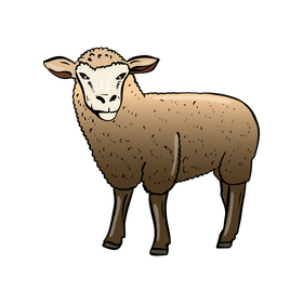 Sheep clipart