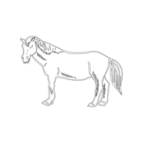 Horse black and white clipart