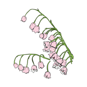 Lily of the Valley clipart