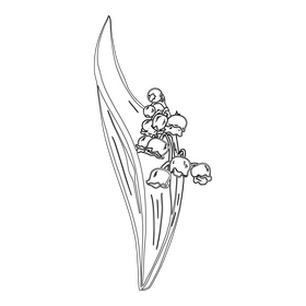 Lily of the Valley black and white clipart