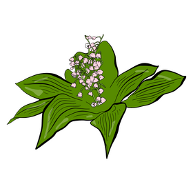 Lily of the Valley clipart