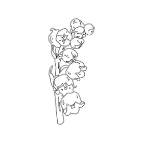 Lily of the Valley black and white clipart