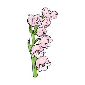 Lily of the Valley clipart