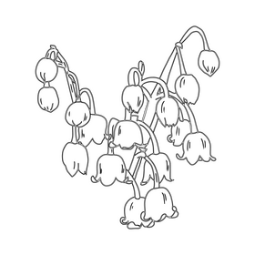 Lily of the Valley black and white clipart
