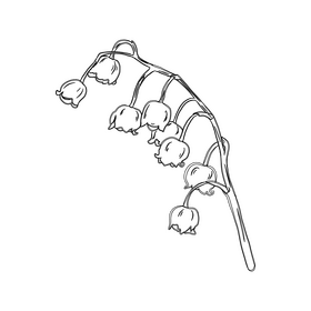 Lily of the Valley black and white clipart